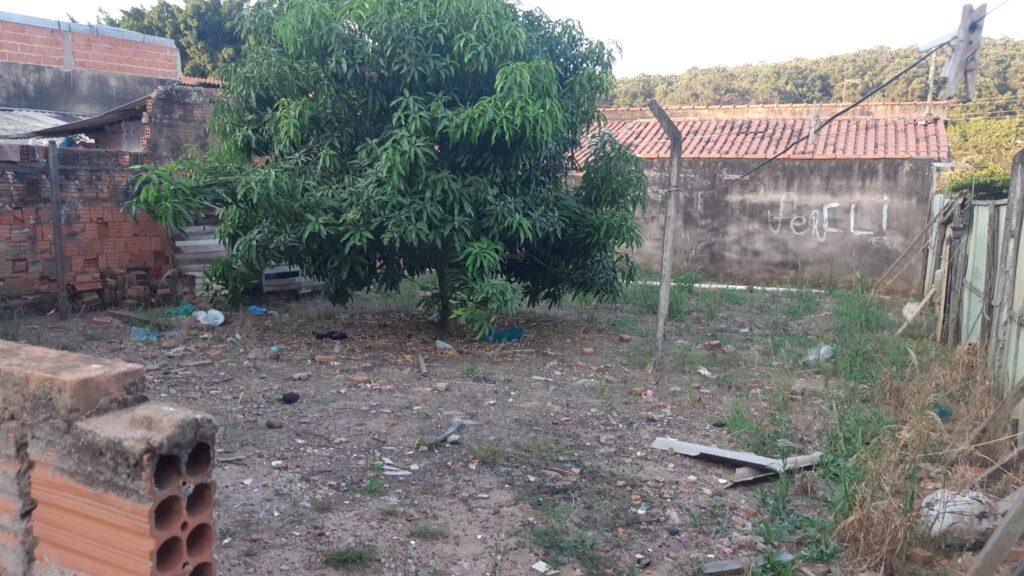 Imagem do WhatsApp de 2025-01-11 à(s) 10.30.12_7480ee0d